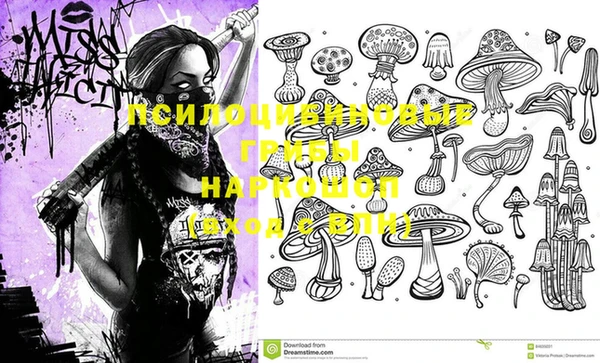 ECSTASY Белокуриха