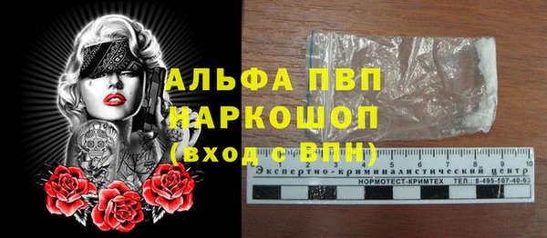 ECSTASY Белокуриха